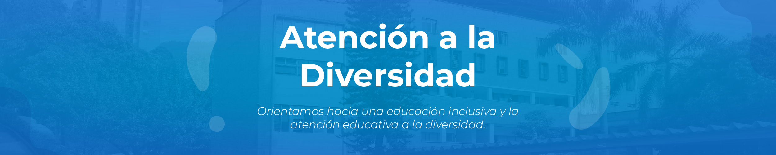 We are oriented toward inclusive education and educational attention to diversity.